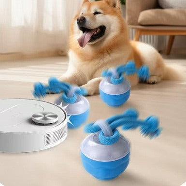 PET SUPPLIES